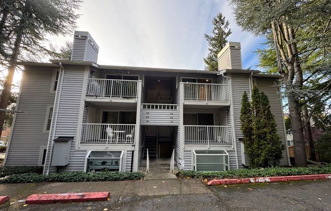 Cozy 2 Bed 1 Bath Condo, Wensley Court Factoria Bellevue