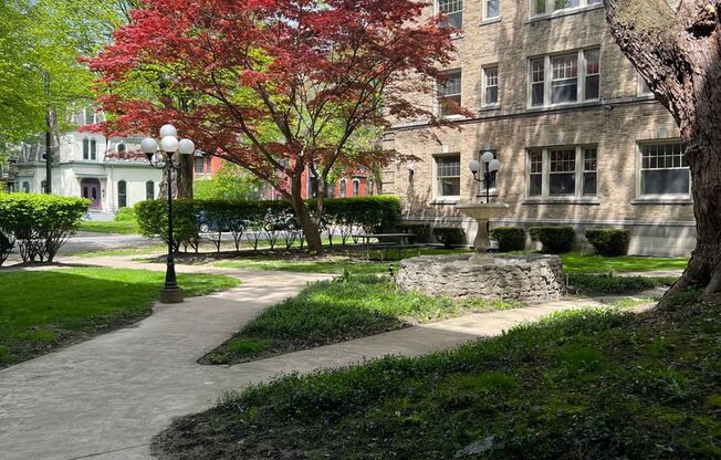 Studio, 1 bath, 575 sqft, $1,125, Unit Apt. 3D