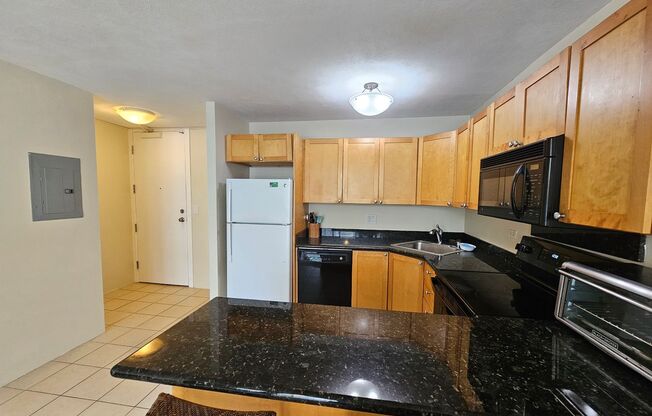 1 bed, 1 bath, $2,100, Unit # 206