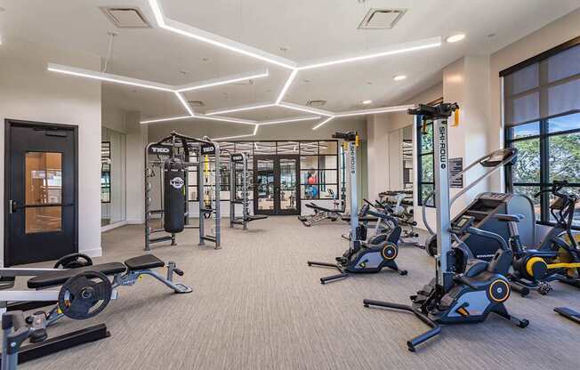 a gym with cardio machines and weights in a building with windows