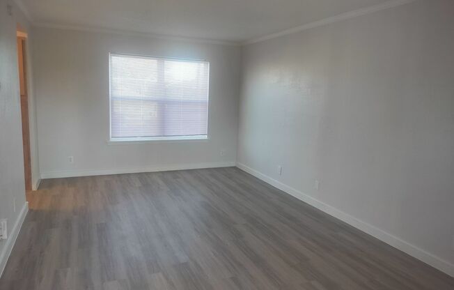 Studio, 1 bath, 400 sqft, $999, Unit ABB-1-226