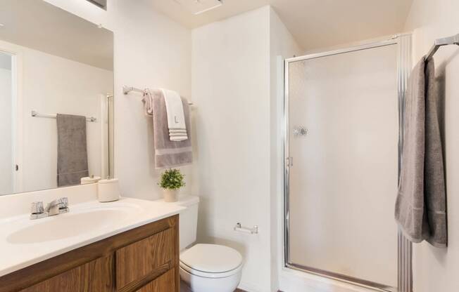 Master Bathroom at Del Coronado, Mesa, AZ, 85202