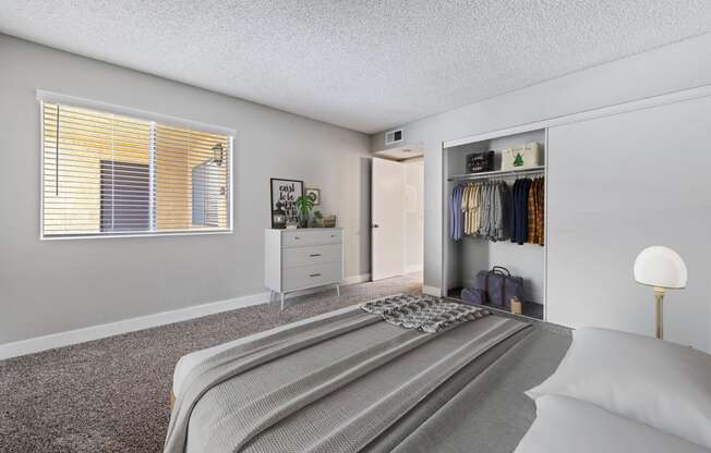 Two-Bedroom Apartments in Colton, CA - Ardella at Reche Canyon - Large Bedroom with Wall-to-Wall Carpeting, Spacious Closet with Sliding Doors, and a Large Window