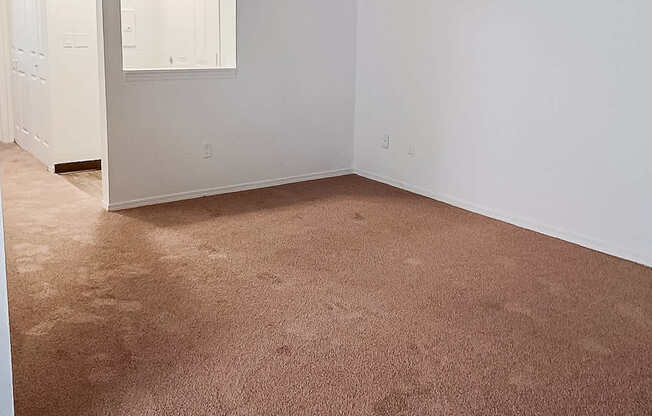 A room with white walls and a brown carpet.