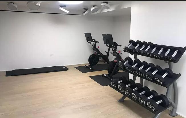 1 bed, 1 bath, $4,450, Unit 804