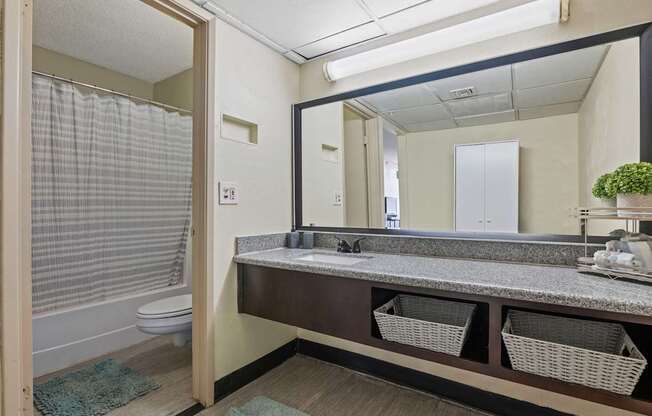 A bathroom with a toilet, sink, and mirror.