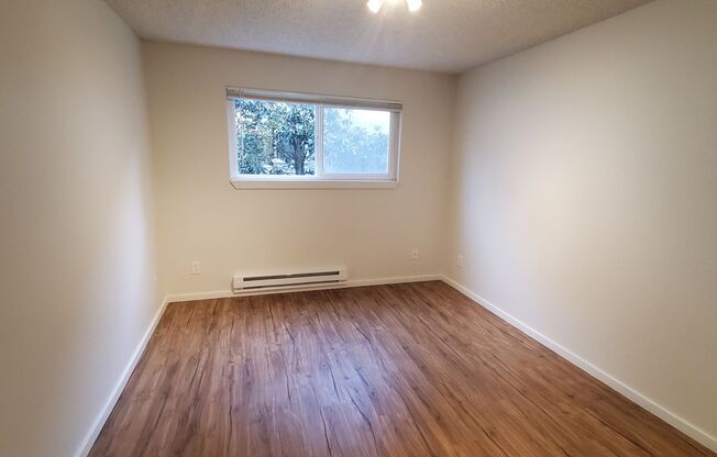 1 bed, 1 bath, $1,850, Unit 12