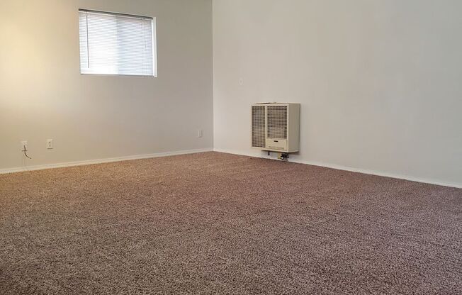 Large 1 Bedroom Home