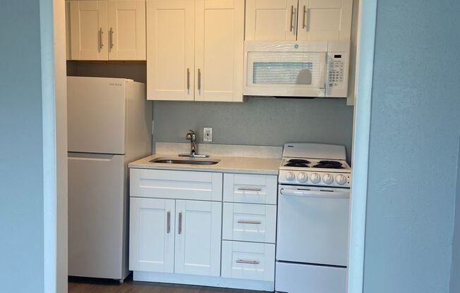 Studio, 1 bath, 500 sqft, $895, Unit 259