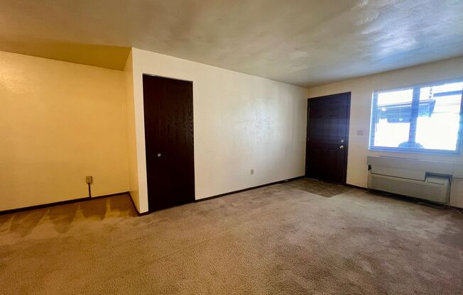 Amazing 1 Bedroom with Beautiful Exposed Brick! Off-Street Parking & Laundry Included!