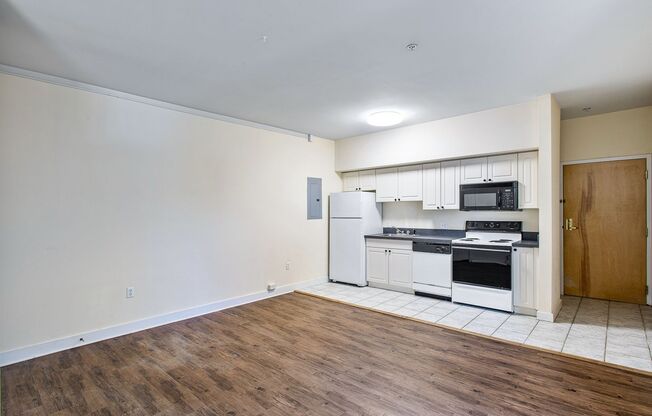 1 bed, 1 bath, 512 sqft, $1,250, Unit APT 303
