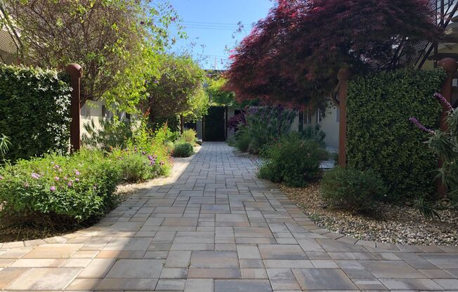 1 bed, 1 bath, $1,600, Unit 206