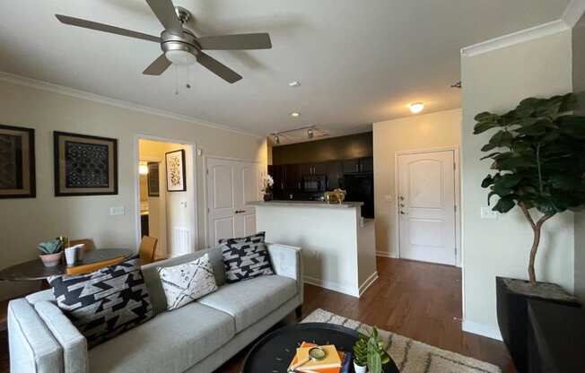 North Gate Apartment Homes Model Living Room