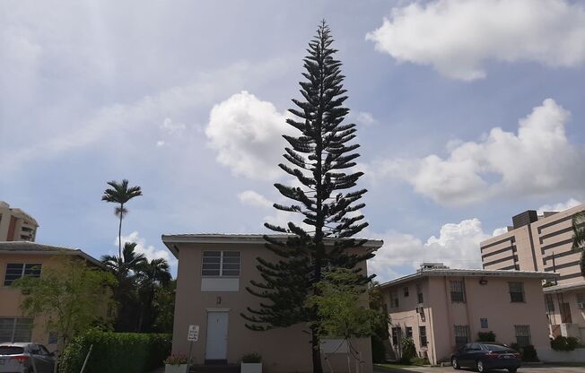 110 Antiquera Ave.