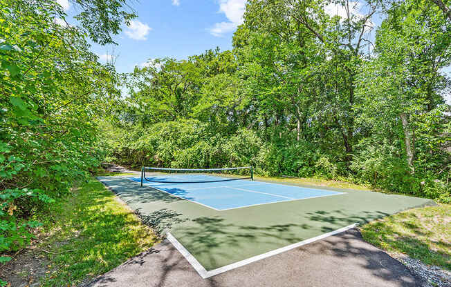 tennis and pickleball court with trees in the background