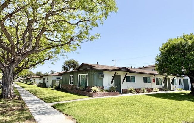 Ball - Juno - 2132  - 2134