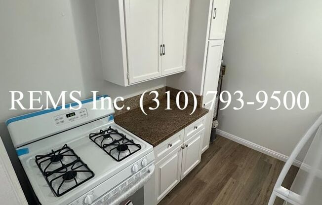 1 Bedroom Downstairs Apartment w/ (Shared) Garage Parking