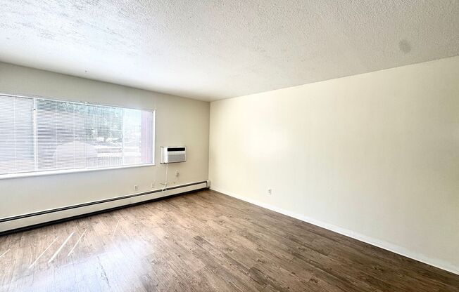 1 bed, 1 bath, 500 sqft, $799, Unit Unit 303