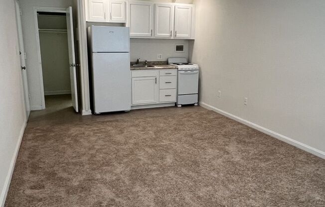 Studio, 1 bath, $1,500, Unit 1225-105