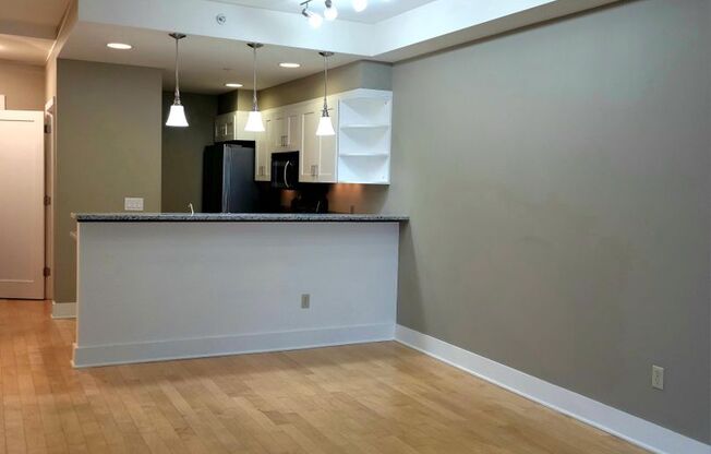 1 Bedroom Harborside Condo