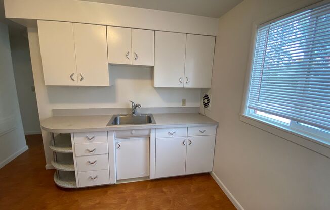 Studio, 1 bath, 400 sqft, $850, Unit S #1