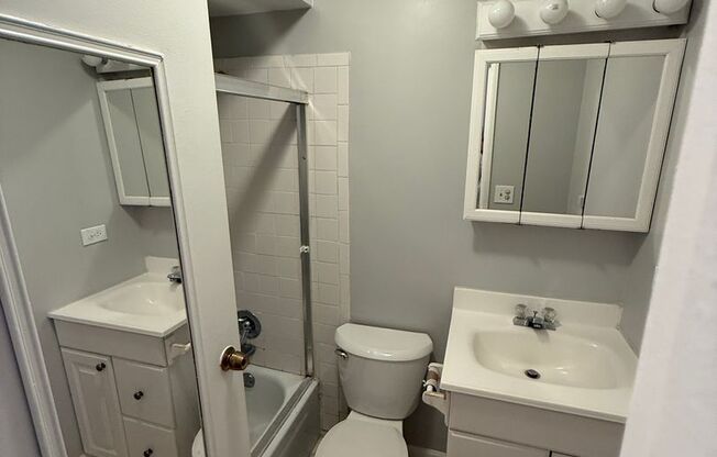 Studio, 1 bath, $1,300, Unit 209