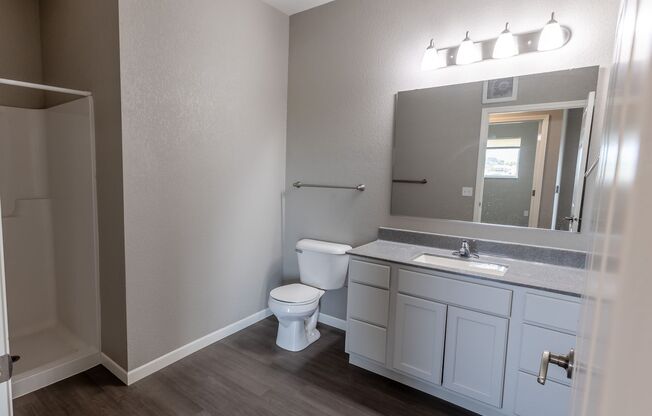 2 beds, 2 baths, 1,052 sqft, $1,195, Unit 3501-315