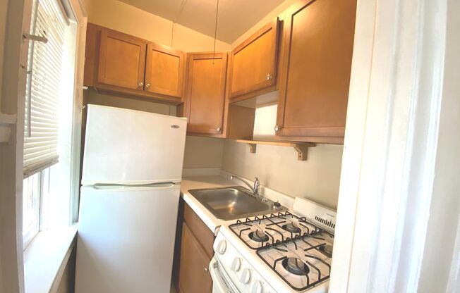 Studio, 1 bath, $825, Unit 205