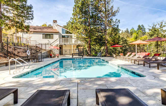 A swimming pool surrounded by trees and a house.
