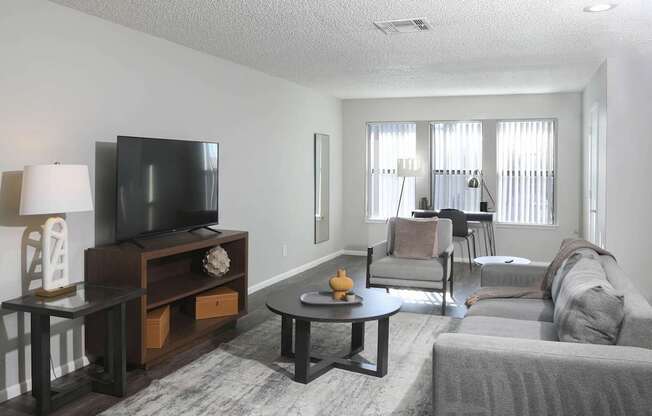 a living room with a couch and a table and a television