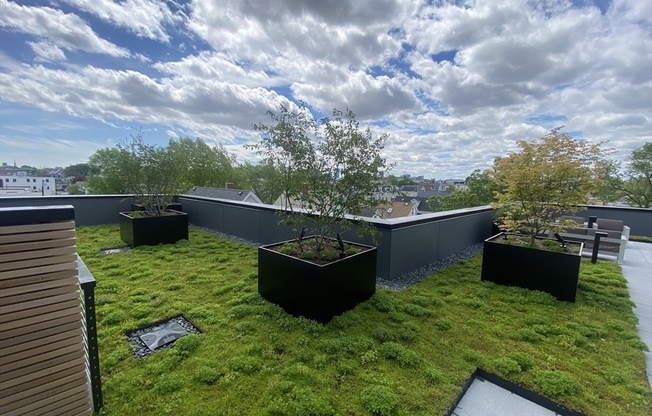 Studio, 1 bath, 387 sqft, $2,450, Unit 507