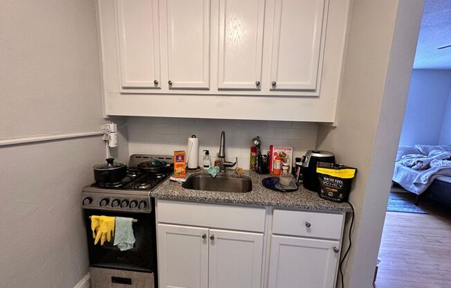 Studio, 1 bath, 300 sqft, $1,450, Unit Unit 405