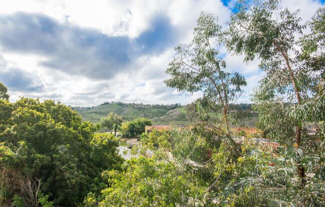 1 bed, 1 bath, 625 sqft, $2,250, Unit 228