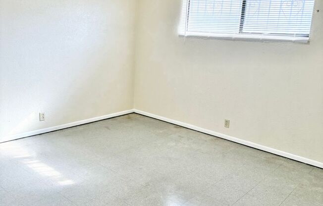 One Bedroom Units with Walk-in Closet