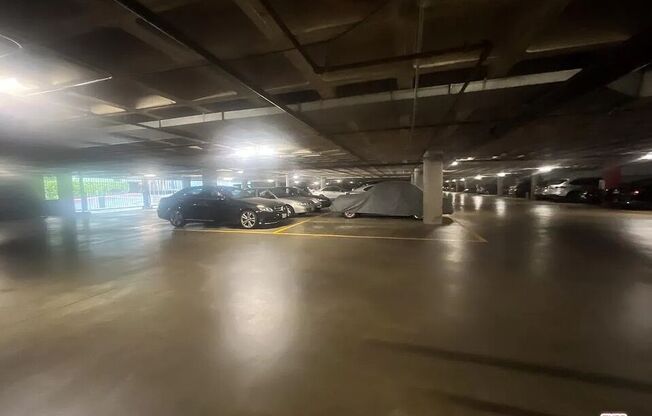 Studio, 1 bath, 481 sqft, $2,200, Unit 1409