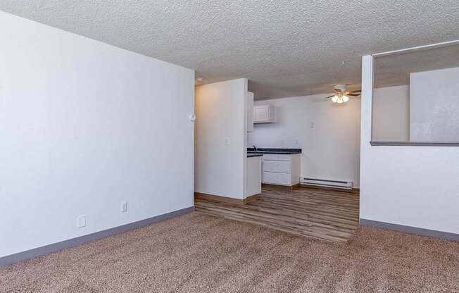 A room with a carpeted floor and a kitchen area in the background.