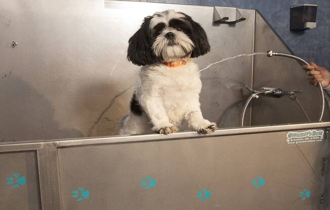 Centro Apartments_Aurora CO_Community Pet Washing