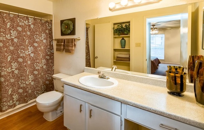 a bathroom with a sink and a toilet and a shower