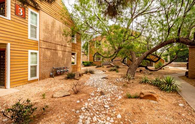 A landscaped outdoor area here at Trinity Place with mature trees, desert-style ground cover, and decorative rocks creating a natural setting between apartment buildings. A paved walkway winds through the space, while wood and brick exteriors with visible entry doors add character to this quiet, residential courtyard.