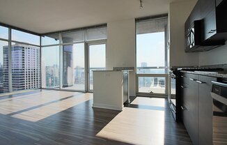 117 W CHICAGO