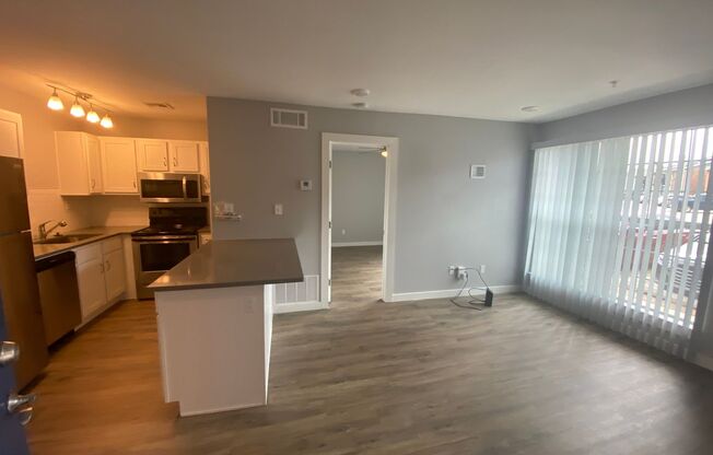 1 bed, 1 bath, 504 sqft, $790