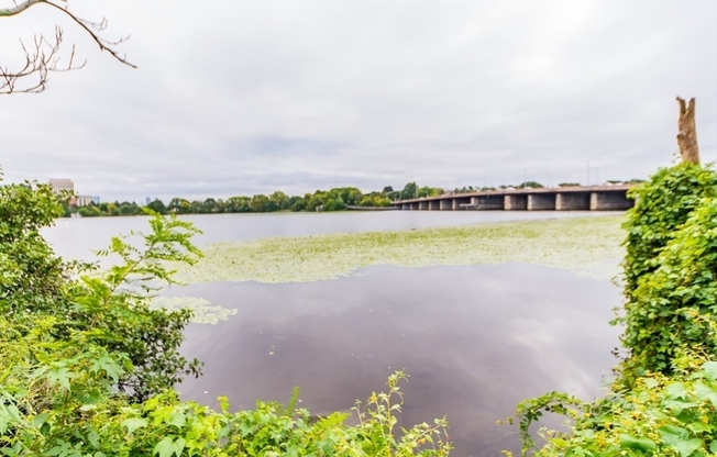 2 beds, 2 baths, 1,235 sqft, $3,850, Unit 501