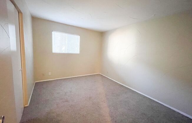 1 bed, 1 bath, $899, Unit #110