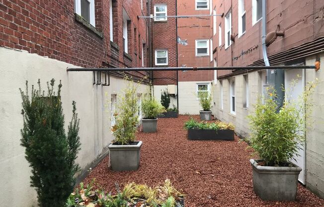 Studio, 1 bath, 310 sqft, $1,299, Unit 204