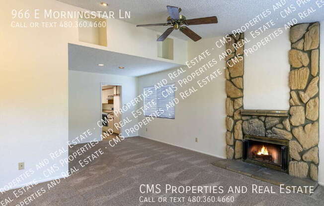 966 E Morningstar Ln