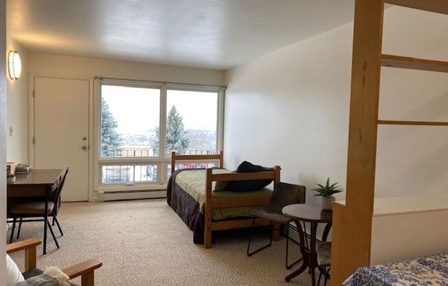 Studio, 1 bath, 400 sqft, $1,000, Unit Hudson Heights Bldg B-18