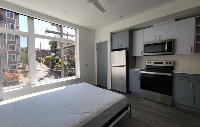 Studio, 1 bath, 238 sqft, $1,390, Unit 505