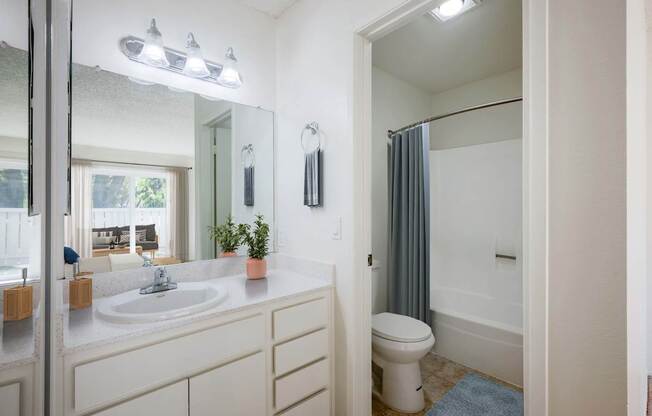 A bathroom with a sink, toilet, and shower.