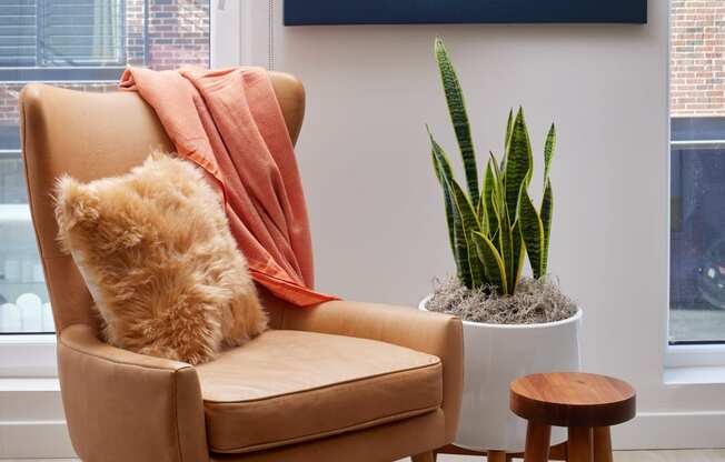 a chair with a pillow and a plant in a living room