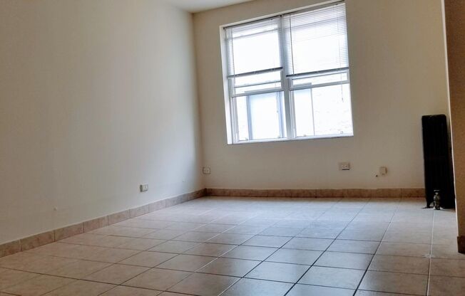 Studio, 1 bath, $1,200, Unit 309
